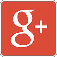 Google+ is Growing