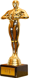 Winner - Social Network for Business