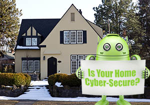 Cyber-Secutiry in the Home