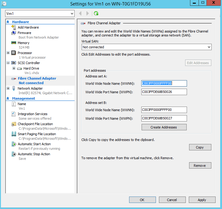 Manually Convigure WWN - Virtual SAN