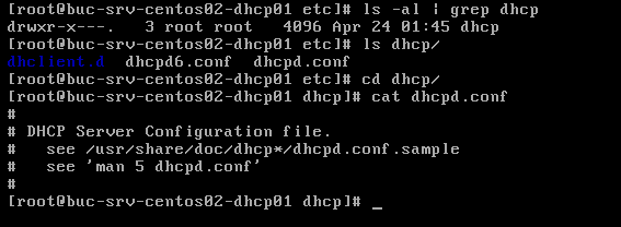 ls -al | grep dhcp