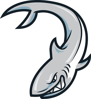 How to use Wireshark to diagnose network problems