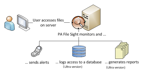 PA File Sight file monitoring diagram